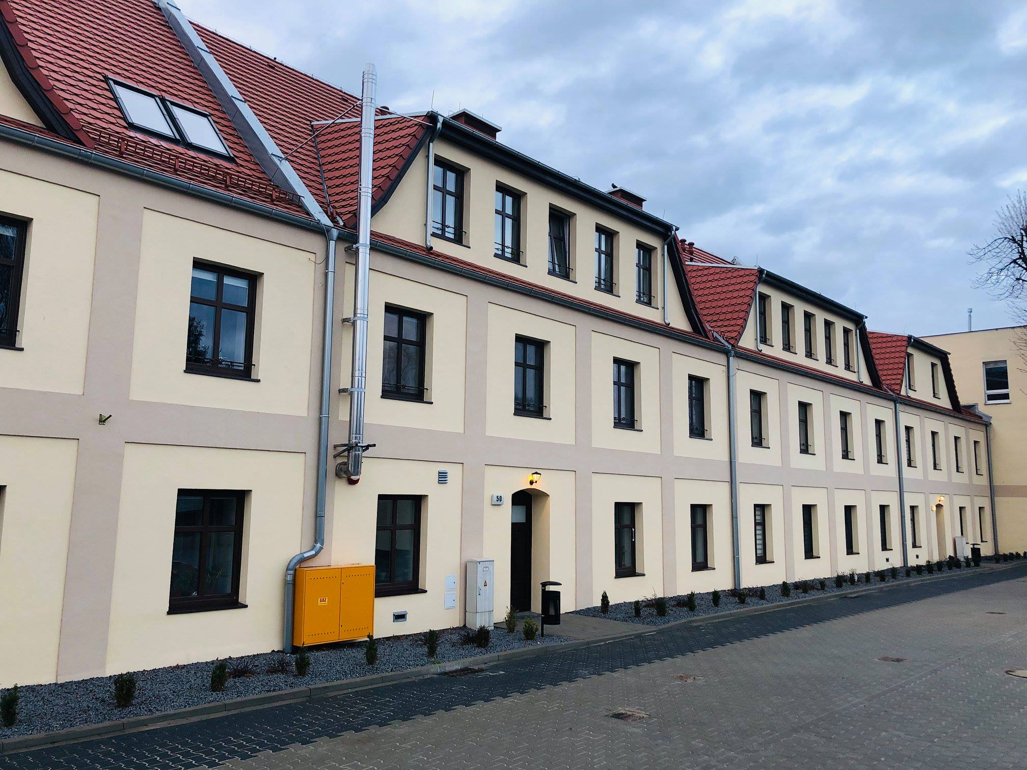 56169810_1002010670004255_4072034729283551232_n