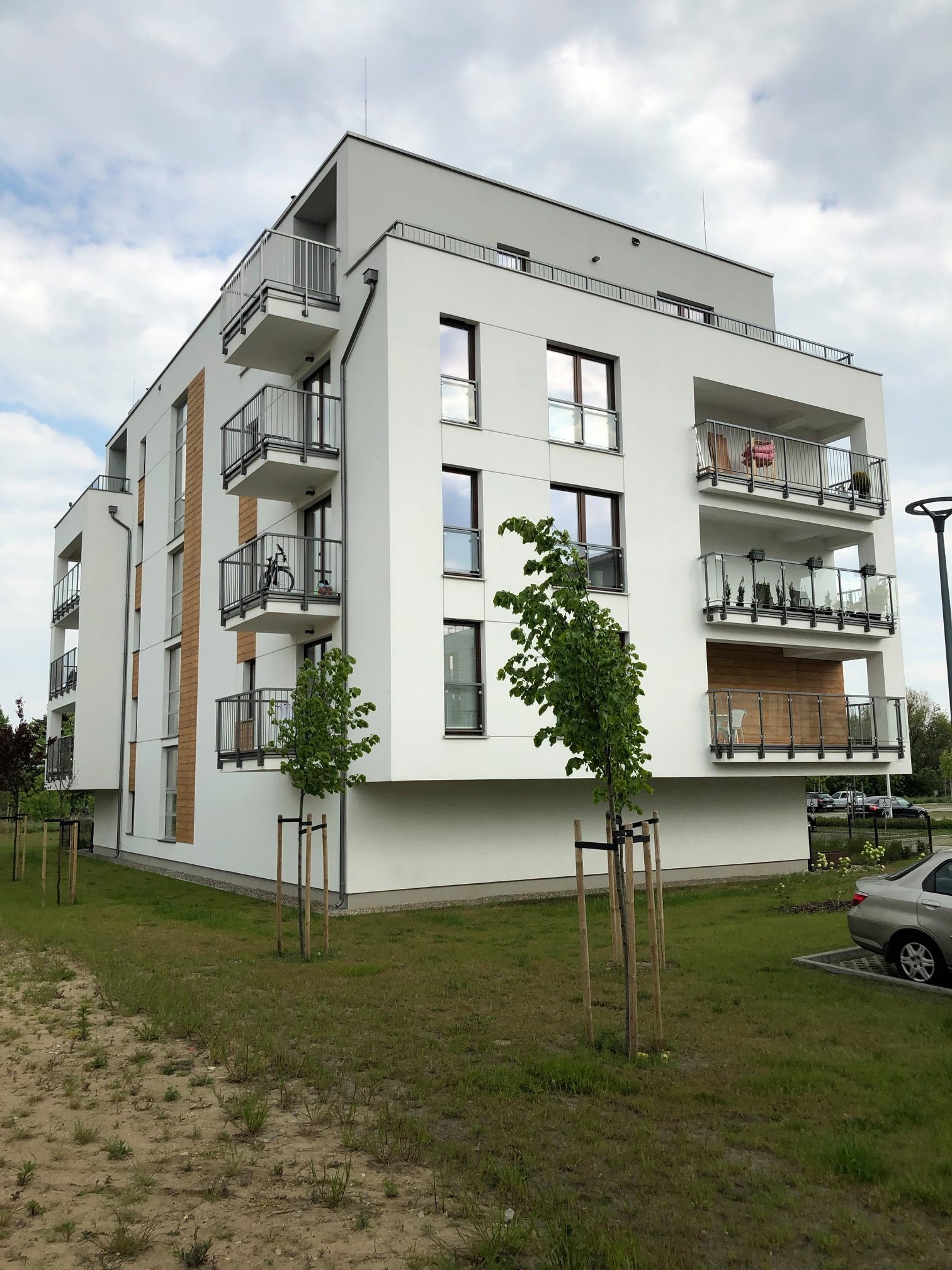 59801342_1024152574456731_7692506325166587904_n