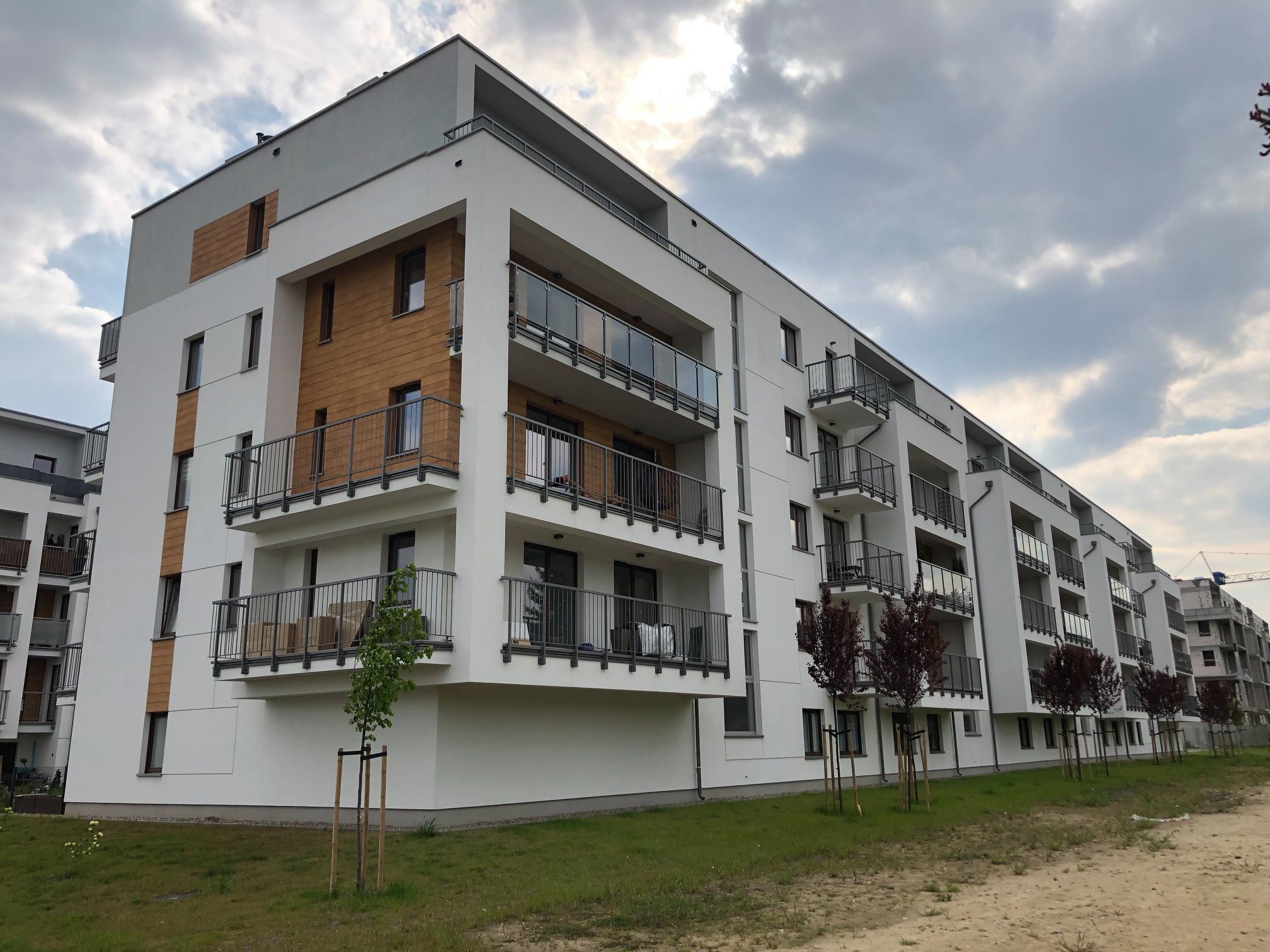 60220161_1024158327789489_9173607410437193728_n